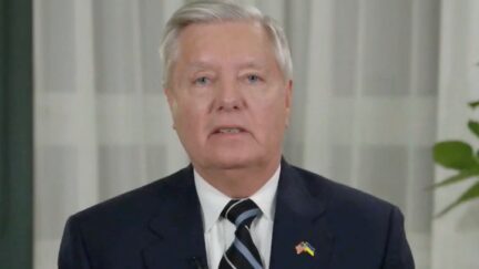 Lindsey Graham