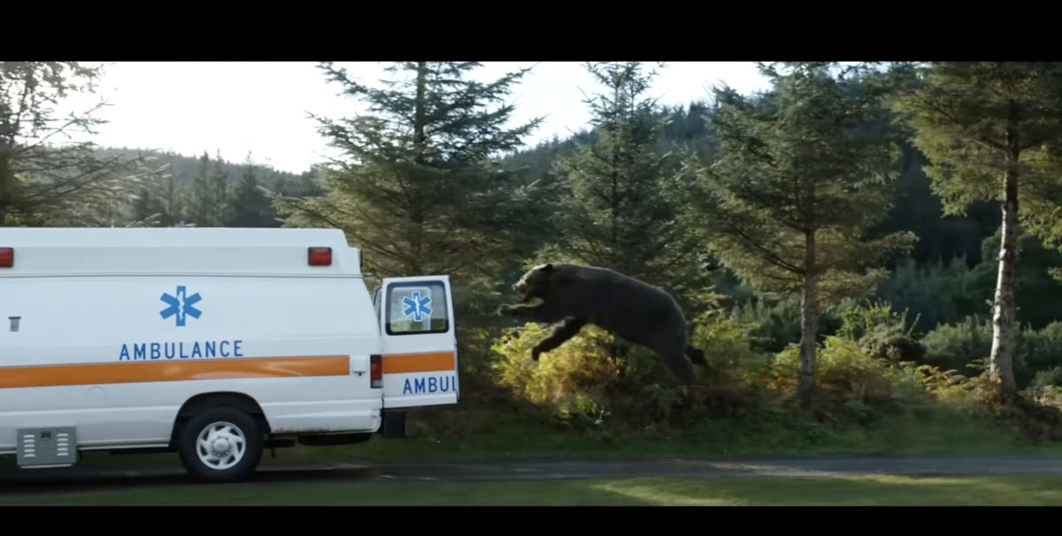 ‘Cocaine Bear’ Director Blasts Hollywood Executives Who Believe Only ...