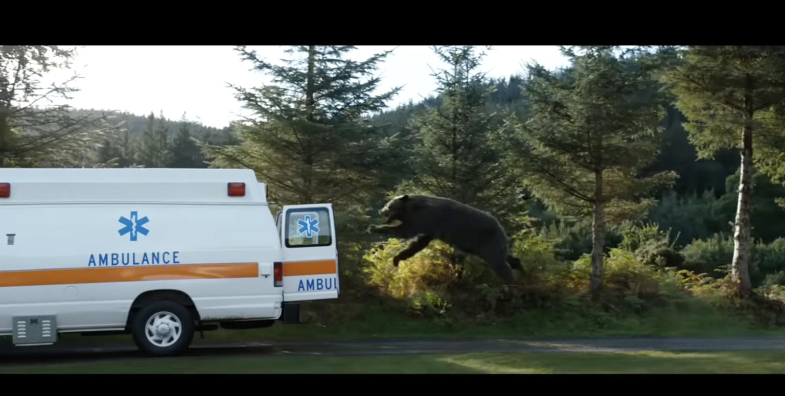  Cocaine Bear Director Blasts Hollywood Executives Who Believe Only 