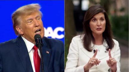 Axios Says Early Leader For Trump VP Is a Woman - And Not Nikki Haley
