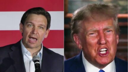 Politico Twists Florida Republicans Into Knots Making Them Choose Between Trump and DeSantis