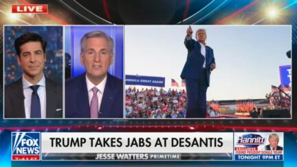 Kevin McCarthy responds to Trump's DeSantis jabs
