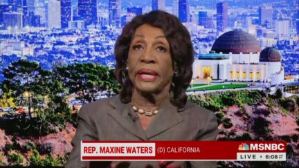 WATCH Maxine Waters Torches Trump on MSNBC For 'Trying To 'Organize Domestic Terrorists' To Protest Arrest