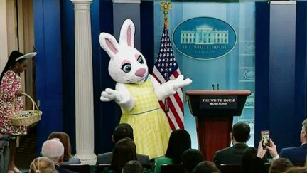 1 WATCH Reporters Crack Wise About Trump Indictment And More During Easter Bunny White House Briefing