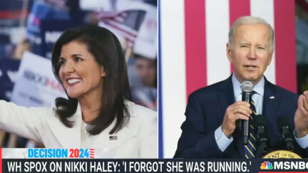 Nikki Haley Joe Biden MSNBC