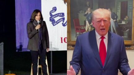 WATCH Kamala Harris Cracks Up Crowd By Predicting 'Donald Trump Is a Walking Indictment In a Red Tie' At 2019 Rally