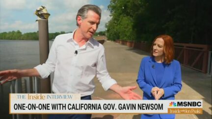 Gavin Newsom on MSNBC