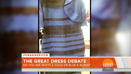 The Today Show Cover Viral Dress Illusion, February 2015