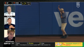 Fan falls from the stands during KayRod Cast