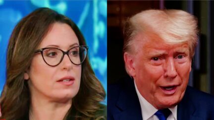 Maggie Haberman Donald Trump split image