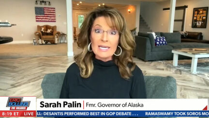Sarah Palin Newsmax Civil War