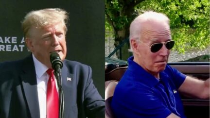 'Giant Warped Double-Standard' Senior Biden Official Lashes Out at Media After Trump Rant About Whale-Killing Windmills