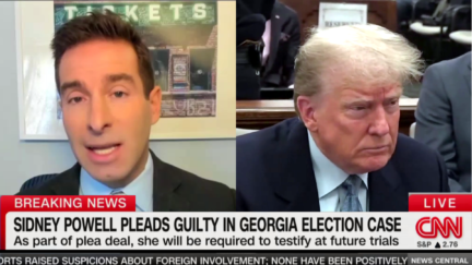 'Devastating For Donald Trump!' CNN Analyst Predicts Sidney Powell Election Crimes Guilty Plea Will Hurt Trump