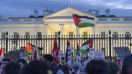 Pro-Palestine protests at White House