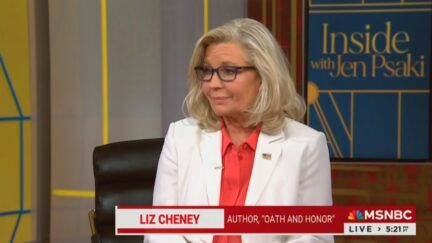 Liz Cheney on MSNBC