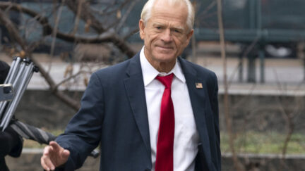 Peter Navarro