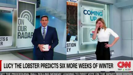 CNN Anchor Literally Cries Laughing As Entire Studio Cracks Up Over Groundhog Day Silliness-2024-02-02