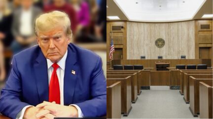 Judges Smacking Down Trump Immunity Say Trump Himself 'Conceded' Key Point In Blistering Ruling