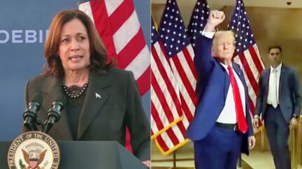 'Stoked The Fires Of Hate And Bigotry And Racism!' Kamala Harris Rips Trump In Blistering Campaign Speech
