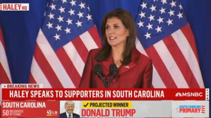 Nikki Haley Blasts Trump After SC Loss: 'Drives People Away!'