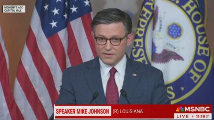 Mike Johnson Blasts 'Absurd' Effort to Oust Him