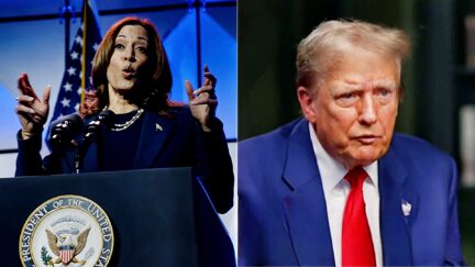 Kamala Harris Tears Into Trump 'Hinting At Violence' If He Gets Sent To Prison Over Felony Convictions