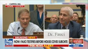 Jim Jordan and Anthony Fauci