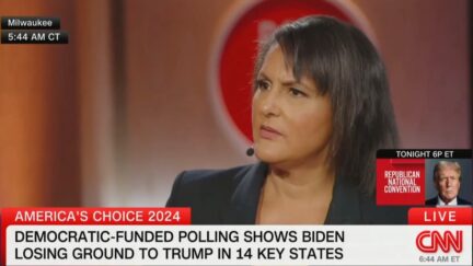 Karen Finney Gives Brutal Review of Fellow Democrats