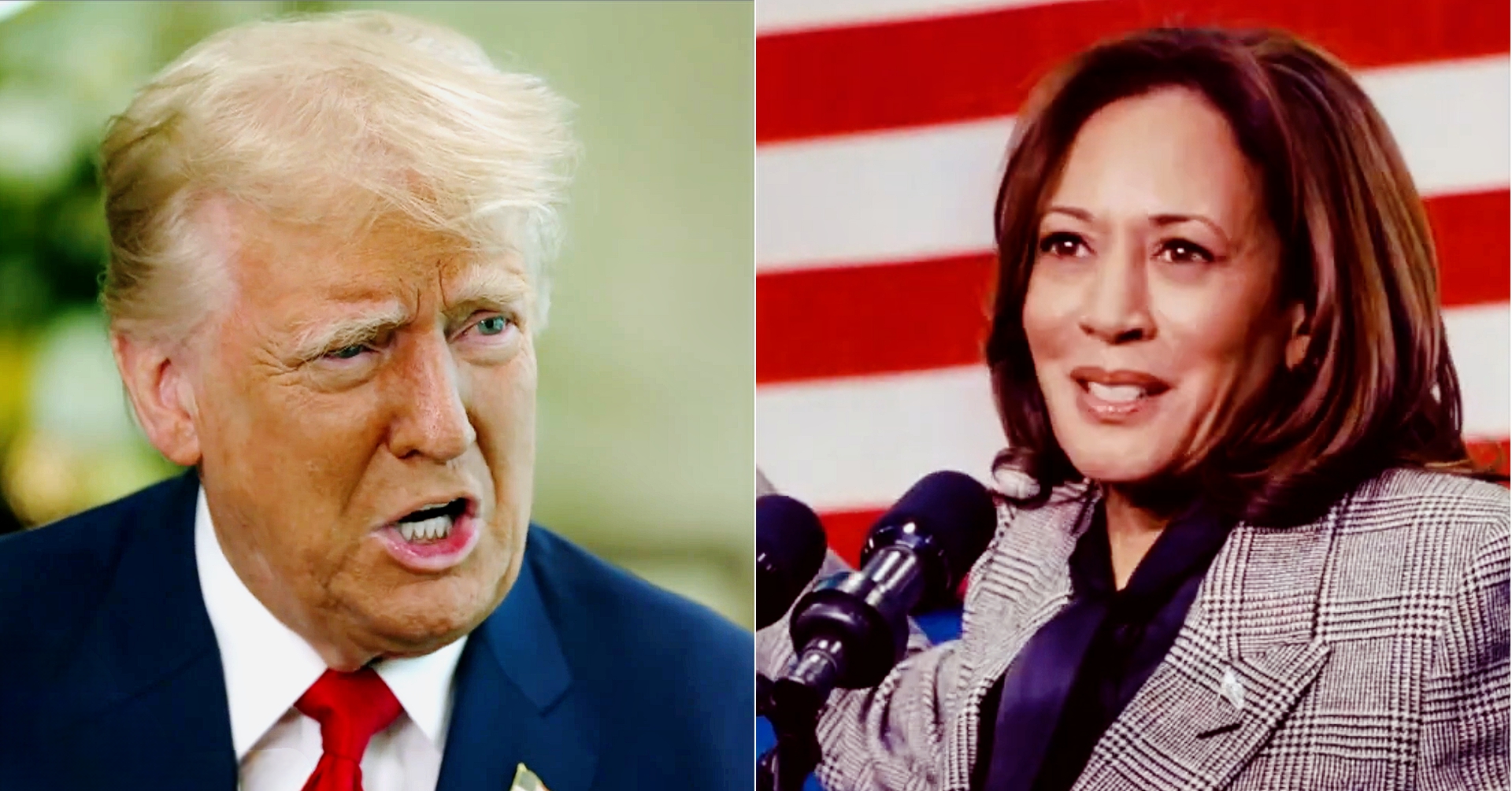 POLL: Harris Leads Trump Nationally But Failed to Secure Post-Convention Bump: ‘Unchanged from Before the DNC’