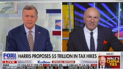 Kevin O'Leary Fumes Over Kamala Harris's Tax Plan