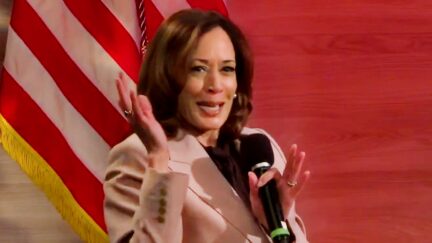 Kamala Harris Scores Key Battleground Endorsements From Teamsters Groups — Defying National Union Non-Endorsement