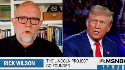 'Trump Wants Someone To Be Killed!' Anti-Trump MSNBC Regular Goes Off Over 'Racist' Pet-Eating Smear-2024-09-14