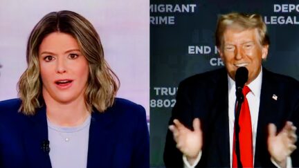 CNN Anchor Stunned Speechless By Trump Vow To Use Military On ‘Enemy Within’-2024-10-14