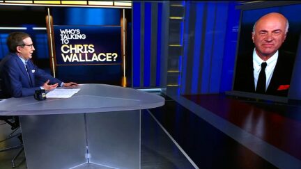 Chris Wallace Straight Up Ask Shark Tank Host Kevin O’Leary 'Are You Really THAT Much Of An Asshole'