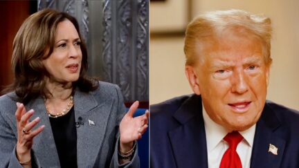 'Have You No Empathy, Man!' Kamala Harris Unleashes On Trump To Colbert Over Attacks And Lies Amid Hurricanes