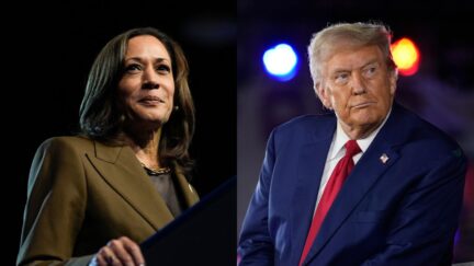 Kamala Harris and Donald Trump