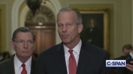 John Thune