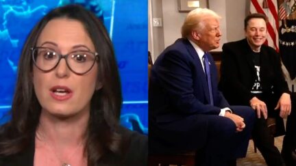 Trump Insiders Tell Maggie Haberman Elon Musk Is 'Useful Heat Shield' — Until He Gets More Popular Than Trump