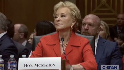 Linda McMahon Senate Hearing Interrupted By Protesters