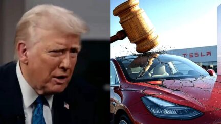 Trump Makes Wild Baseless Claim People 'Involved With My Trials' Are Behind Tesla Violence