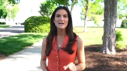 'Listen To This!' CNN's Kaitlan Collins Drops Brutal New Trump Poll Stats For 100 Day Mark