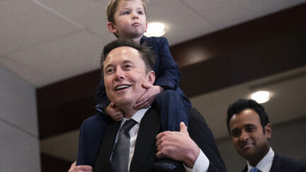 Musk
