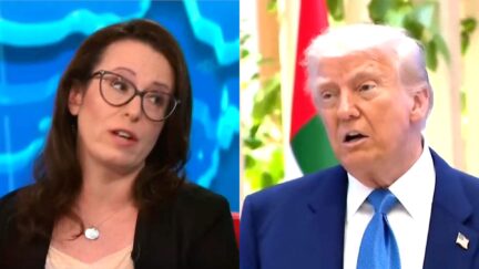 Maggie Haberman Warns Courts Are 'Last Vestige' Against Trump Onslaught On 'Every System'