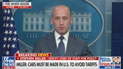 Stephen Miller Slaps Down Tariff Relief Calls for Small Businesses