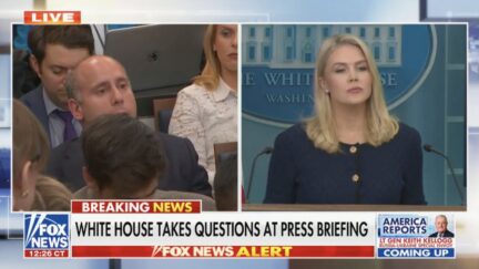 Andrew Feinberg asks Karoline Leavitt about Russia/Ukraine
