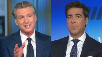 Gavin Newsom sues Fox News and Jesse Watters