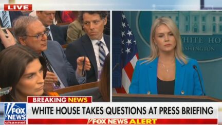 Karoline Leavitt Gets Heated Over Peaceful Protesters Question