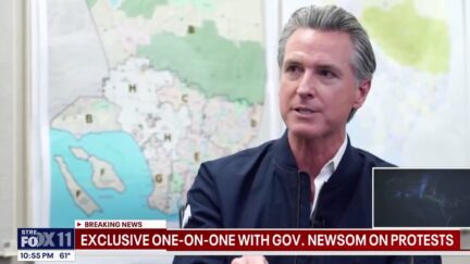 Gavin Newsom