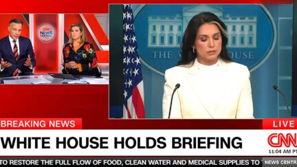 CNN Dumps Out Of Trump Intel Chief Gabbard's Briefing Mid-Sentence To Fact-Check Obama Conspiracy Claims