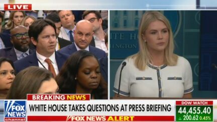 Karoline Leavitt Shoots Down Prospect of Epstein Special Prosecutor